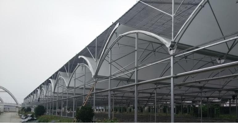 greenhouse roof ventilation greenhouse roof ventilation