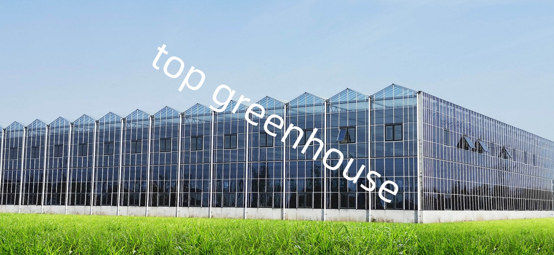 glass greenhouse manufacture glass greenhouse manufacture