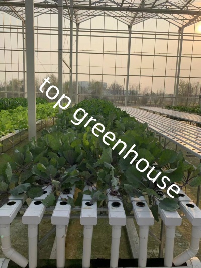 pipe hydroponic greenhouse pipe hydroponic greenhouse