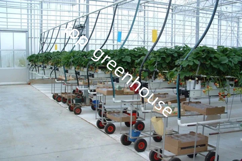 种植系统 种植系统