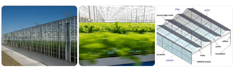 kubo greenhouse kubo greenhouse