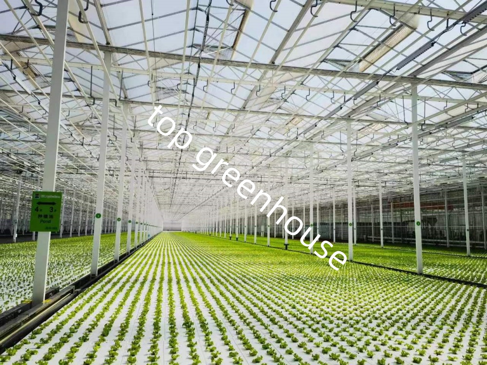 leaf greenhouse leaf greenhouse