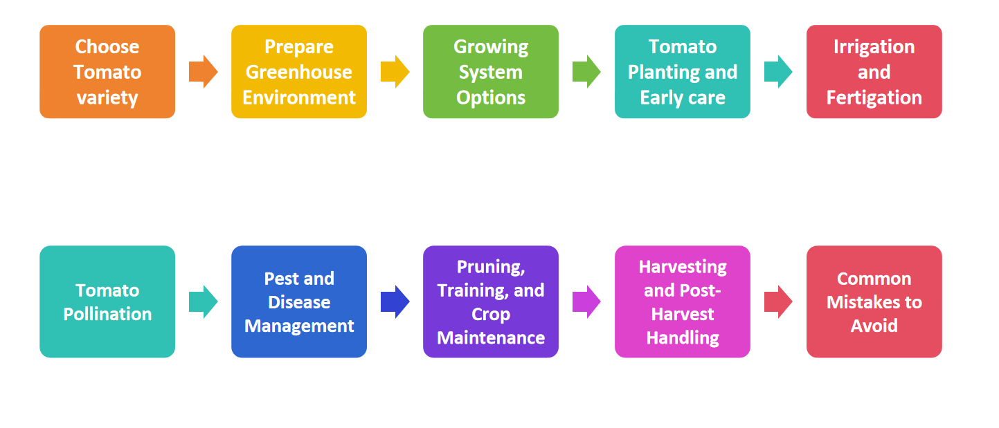 commercial greenhouse for tomato growing commercial greenhouse for tomato growing