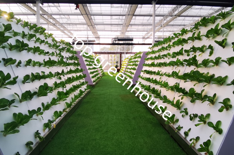 wall hydroponic for greenhouse wall hydroponic for greenhouse