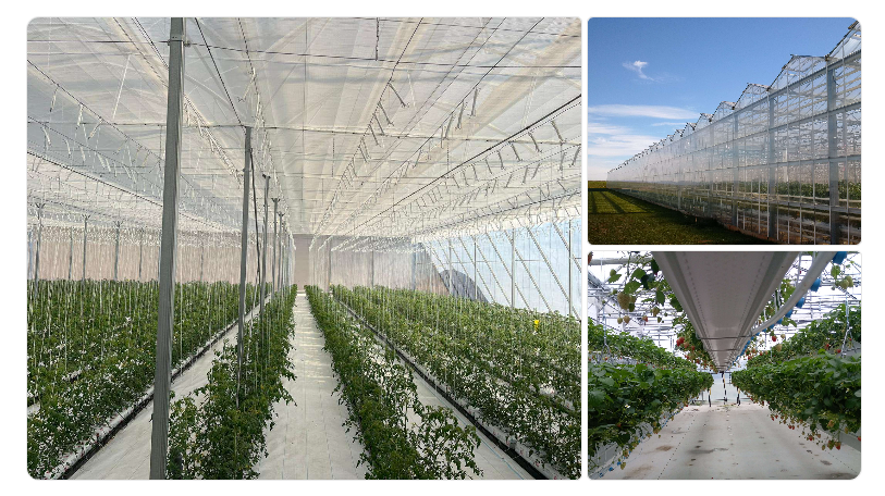 RICHEL greenhouse manufacture RICHEL greenhouse manufacture