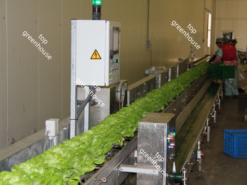 Greenhouse Panel for The Electric System