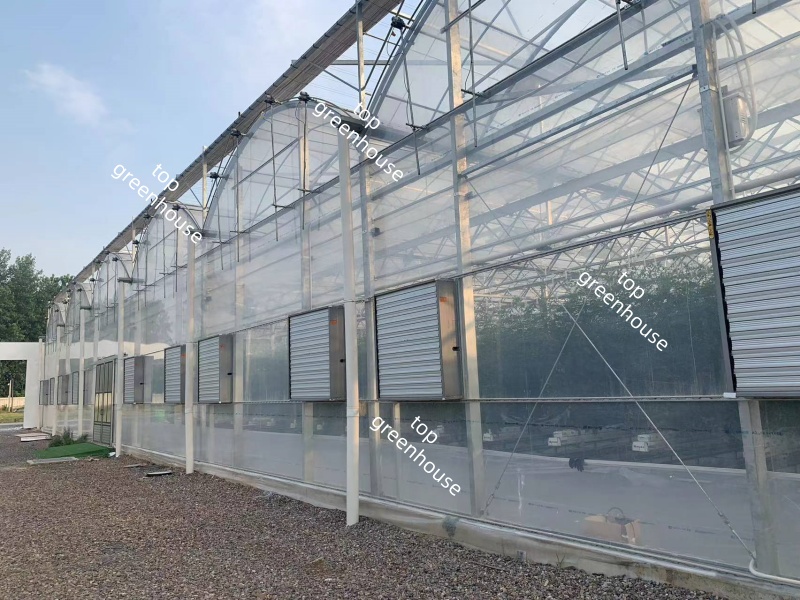 greenhouse plastic