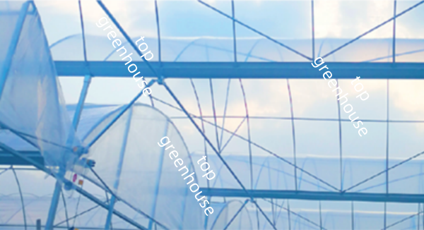greenhouse film