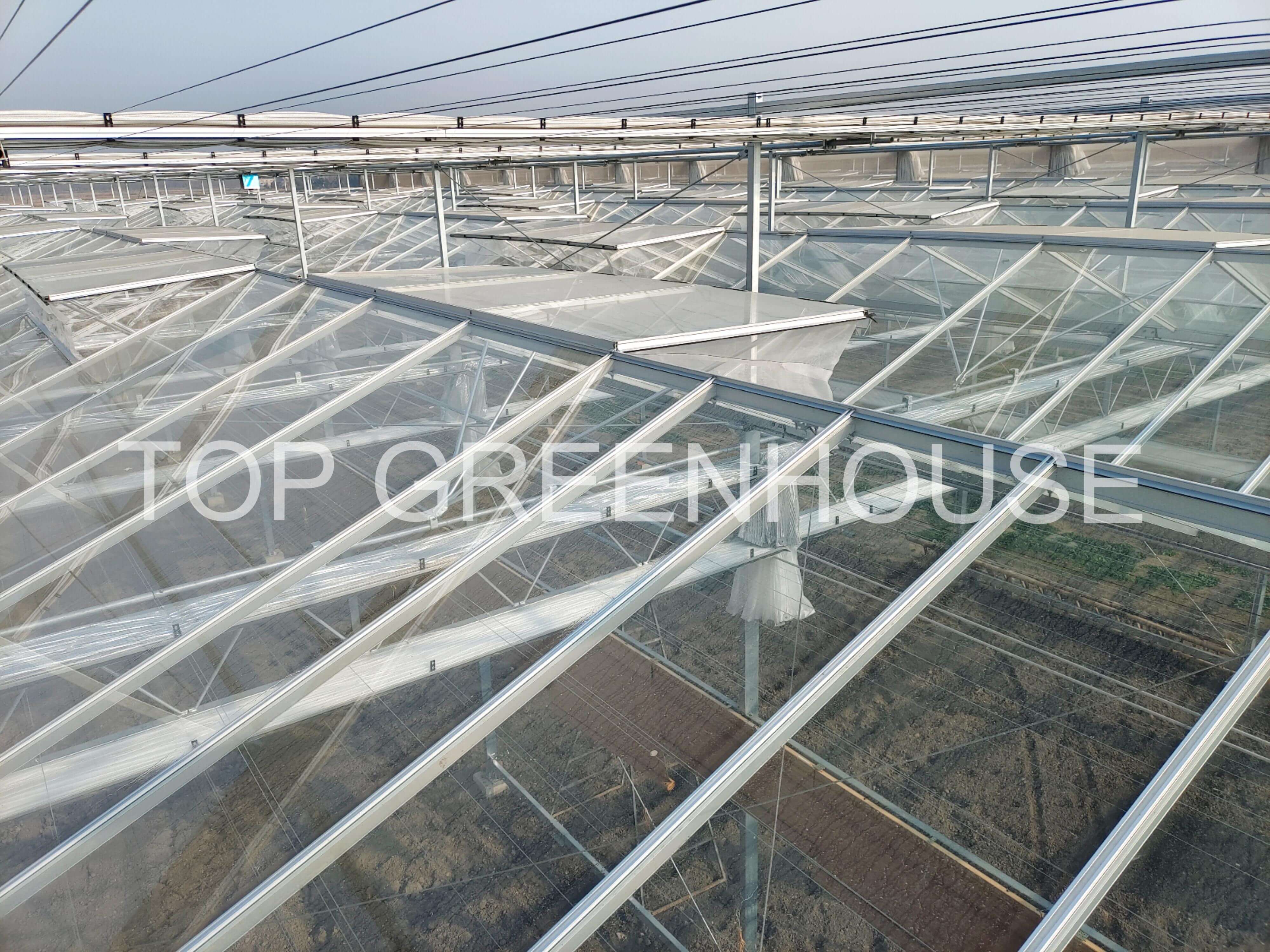 Greenhouse Transparent Screen