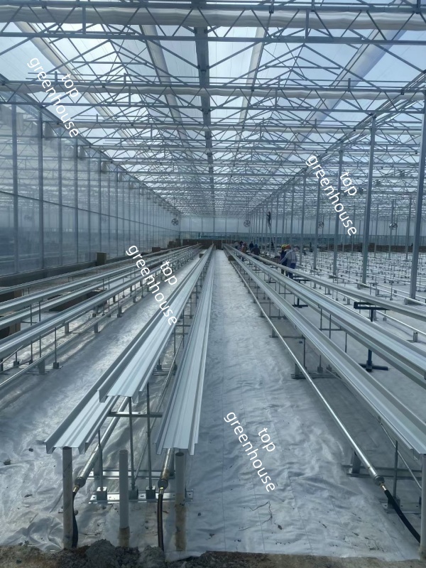 greenhouse landscape fabric for ground cover