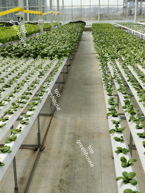 greenhouse landscape fabric for ground cover