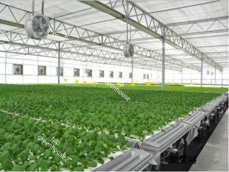 Greenhouse Exhaust Fan for Cooling System