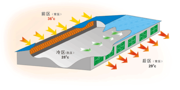 greenhouse exhaust fan