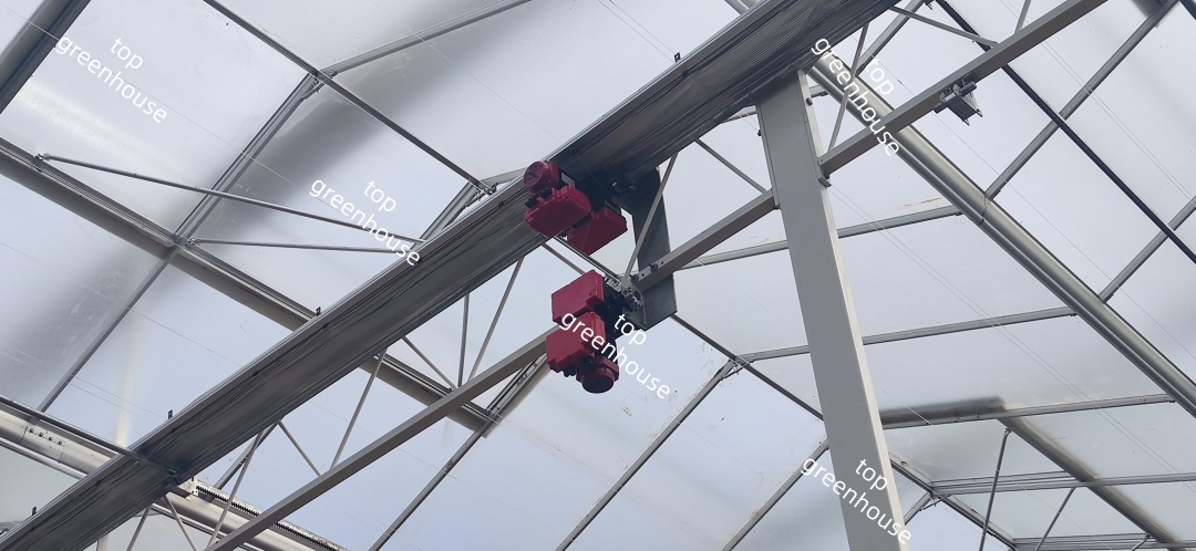 Greenhouse Gear Motor