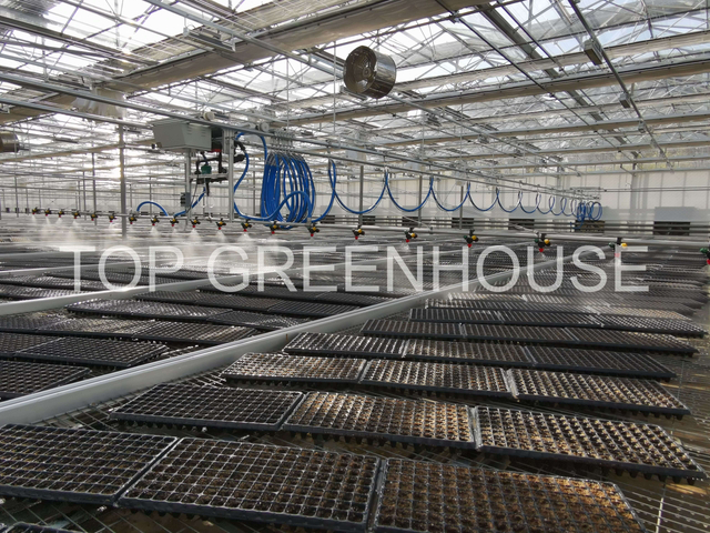 Seedling Bed Rolling Bench for Greenhouse