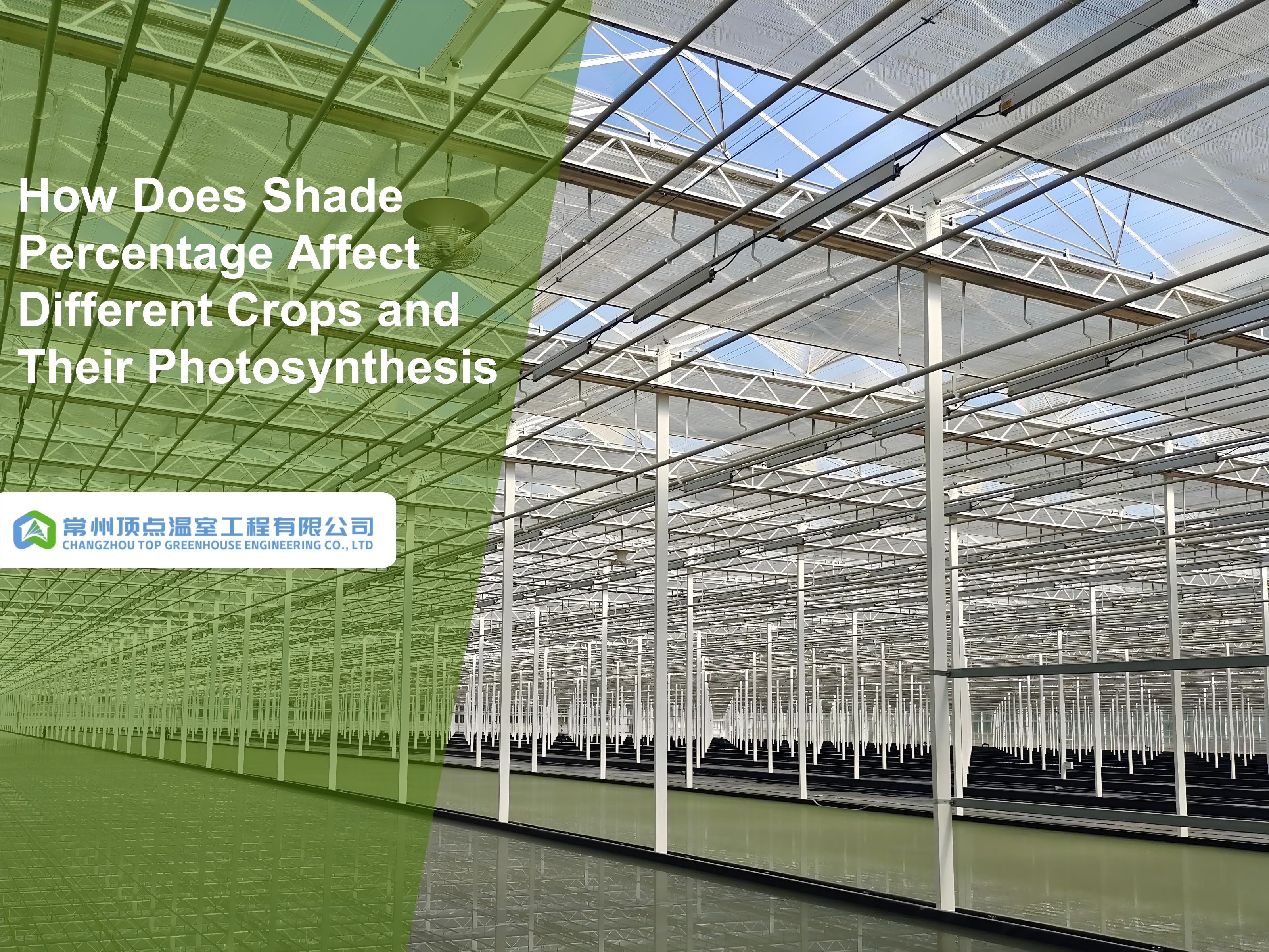 How Does Shade Percentage Affect Different Crops And Their Photosynthesis?
