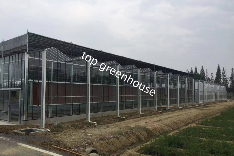 Commercial Greenhouse