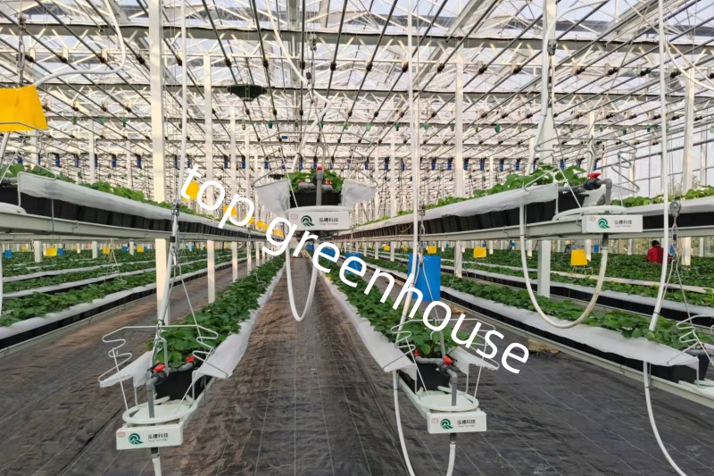high efficiency greenhouse