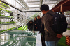 commercial glass greenhouse