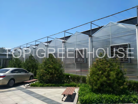 Durable Polycarbonate Greenhouse with UV Protection