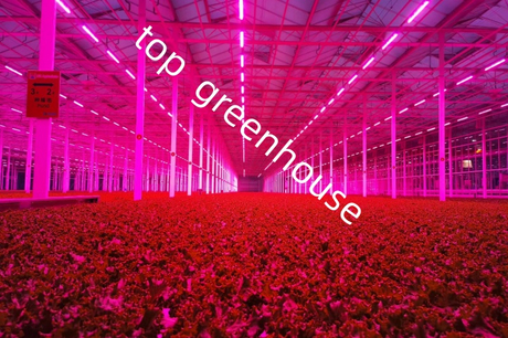 automated greenhouse