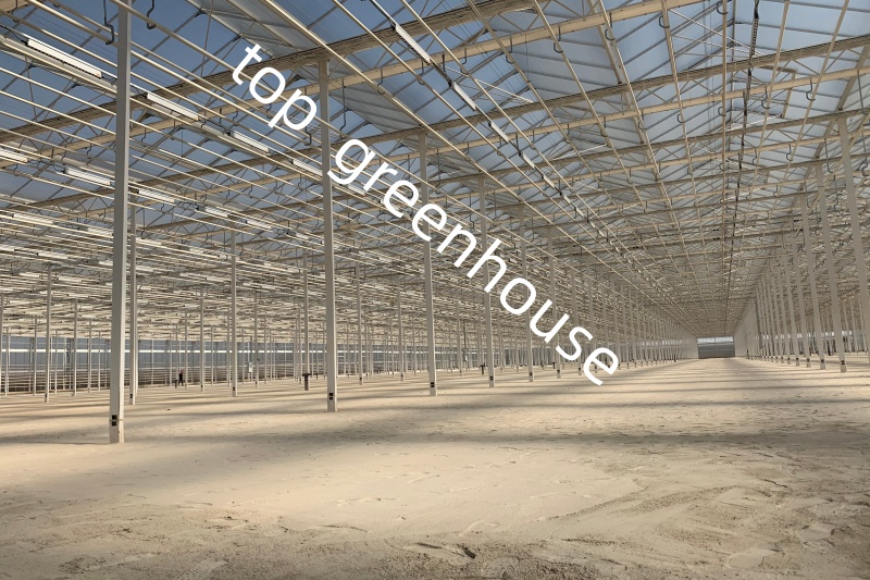 automated greenhouse