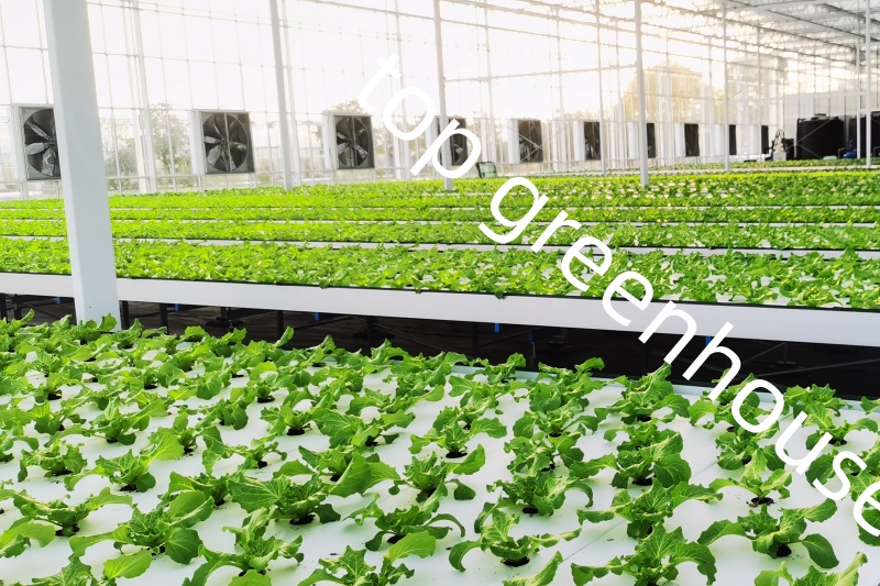 automated greenhouse