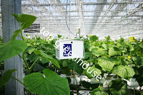 high tech greenhouse 