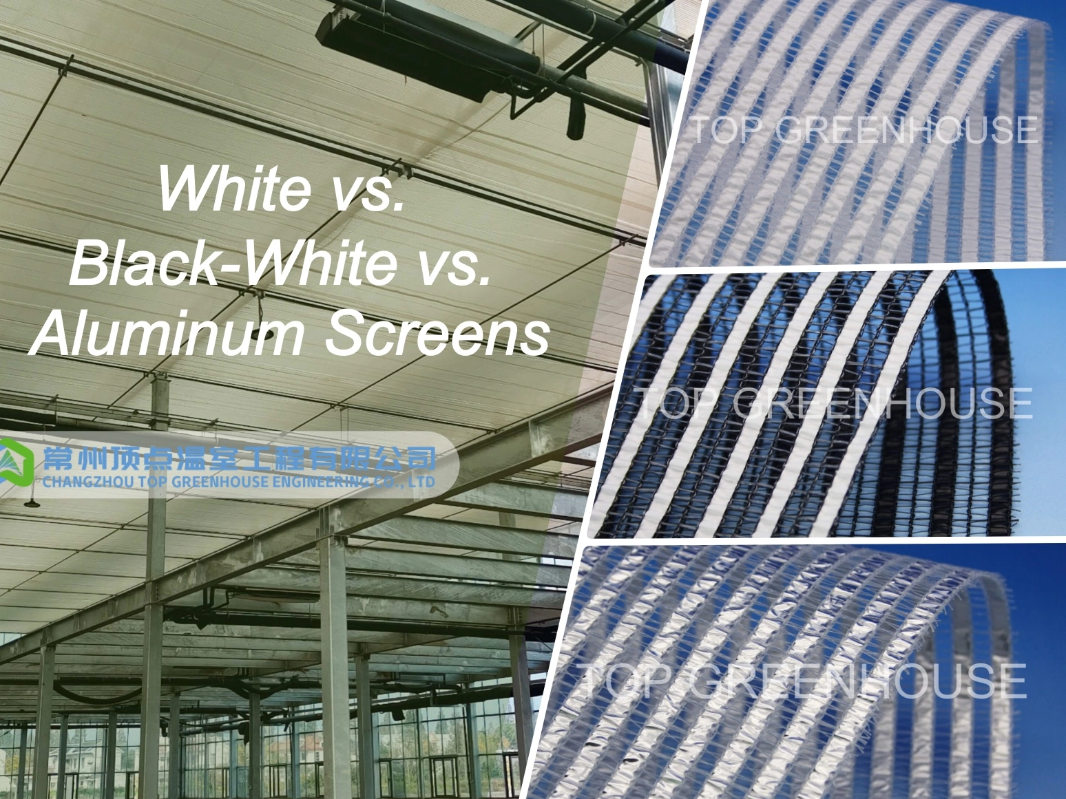 White vs. Black-White vs. Aluminum Screens: Which Is Best for Your Greenhouse?