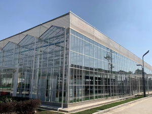 Advanced Multi-Span Glass Greenhouse for Professional Agriculture
