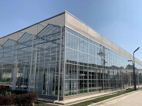 Advanced Multi-Span Glass Greenhouse for Professional Agriculture
