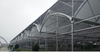 Roof Large Ventilation for Plastic Greenhouse Solution