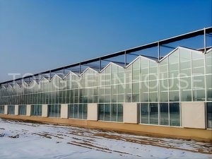 Commercial Polycarbonate Greenhouse