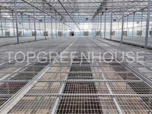 Plastic PO Film Greenhouse