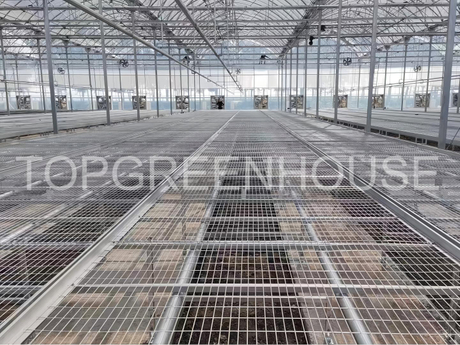 Plastic PO Film Greenhouse
