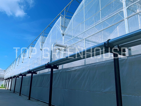 Multispan Plastic Film Greenhouse