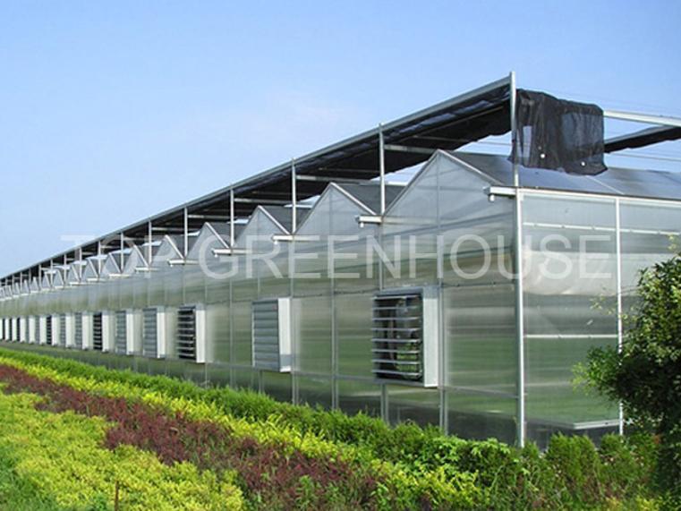 Polycarbonate Greenhouse