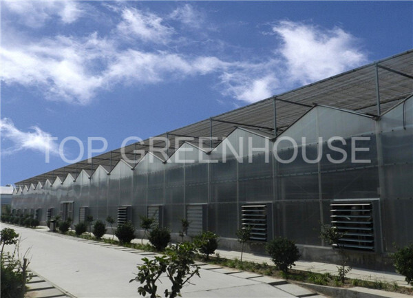 Polycarbonate Greenhouse