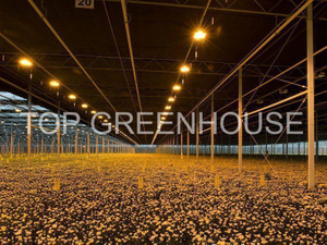 Blackout Screen Blackout Shade Netting for Cannabis Greenhouse