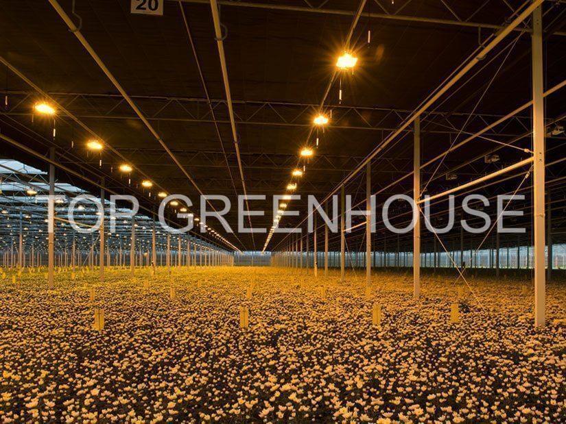 Blackout Screen For Light Deprivation Greenhouse