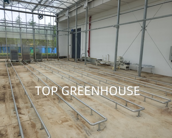 Greenhouse Climate Screen