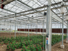 Open Structure Aluminum Screen Shade Netting For Greenhouse 