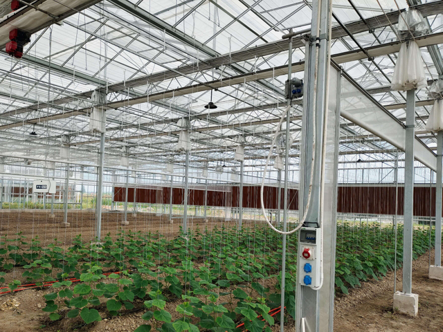 Open Structure Aluminum Screen Shade Netting For Greenhouse 