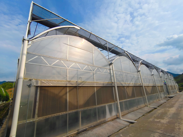 High Light Diffusion Aluminum Shade Netting Greenhouse Screen