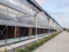 Greenhouse Plastic Film for Covering System