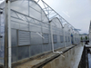 Greenhouse Cooling System Cooling Pad And Exhaust Fan