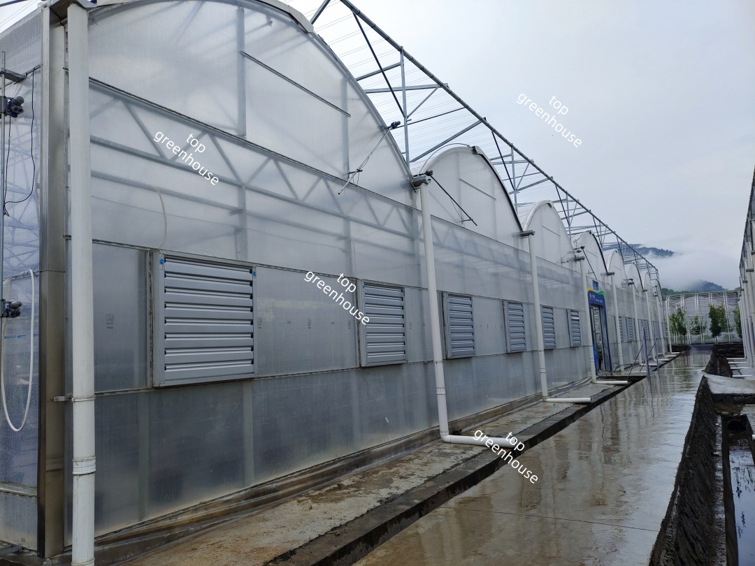Greenhouse Cooling System Cooling Pad And Exhaust Fan