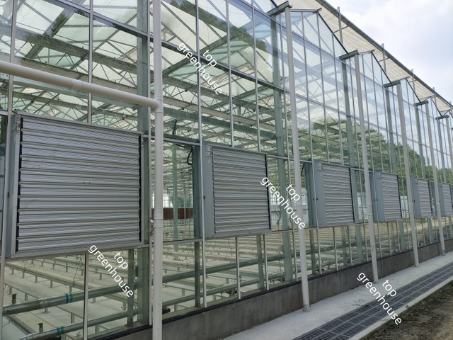 Greenhouse Cooling System Cooling Pad And Exhaust Fan