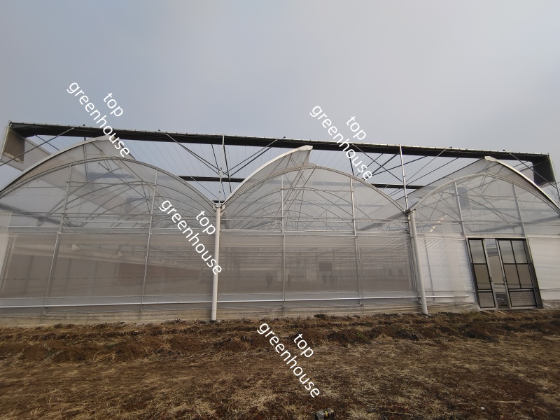 Greenhouse Electric Film Reeler