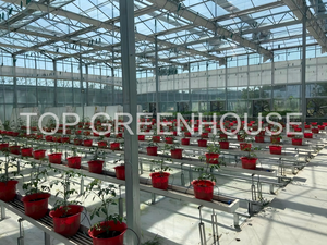 Greenhouse Shade Netting